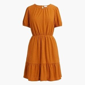 J. Crew Factory | Knit clip-dot mini dress Terracotta Plus Size Available